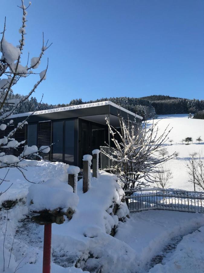 S-Suite Das Design-Ferienhaus Im Schwarzwald Biberach  Exterior foto
